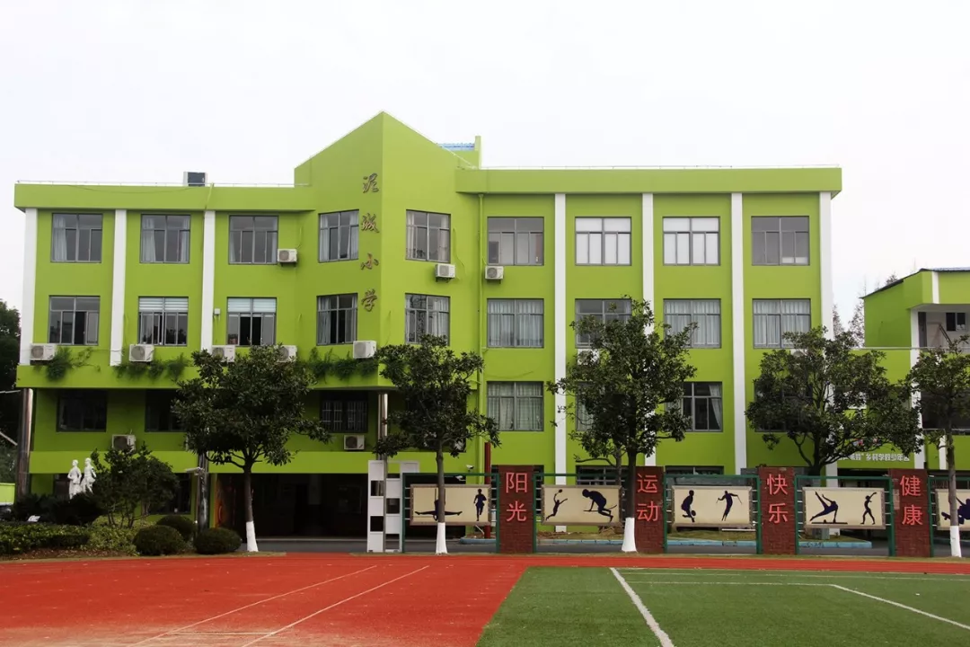 上海市浦东新区泥城小学上海市浦东新区金茂小学上海市浦东新区福山
