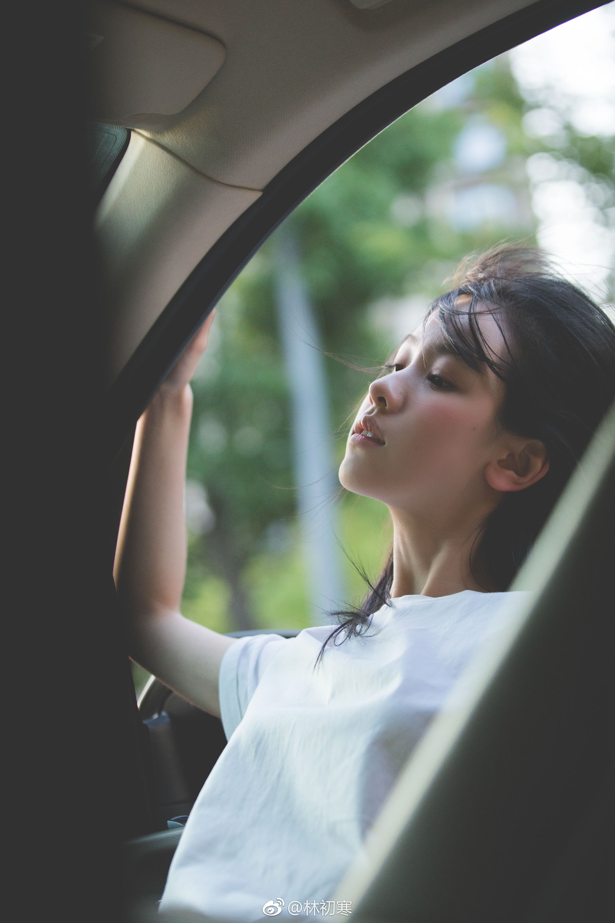 她吹着风陈都灵林初寒