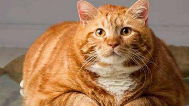 司机高速公路上回看监控,才知道多可恶 为您推荐: 俄罗斯美女到14岁