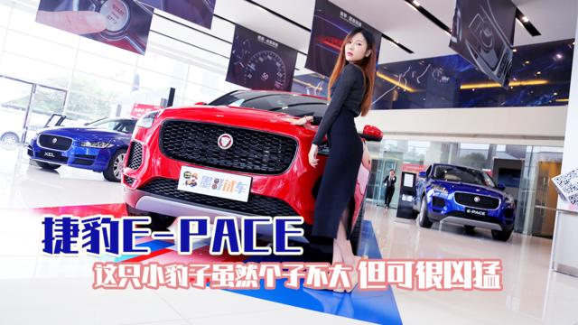 到店体验 | 捷豹E-PACE，这只小豹子虽然个子不大，但可很凶猛