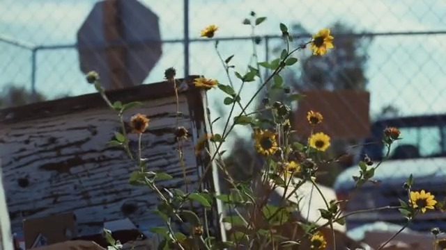 欧冠视频2018欧冠决赛开幕式上英国女歌手Du