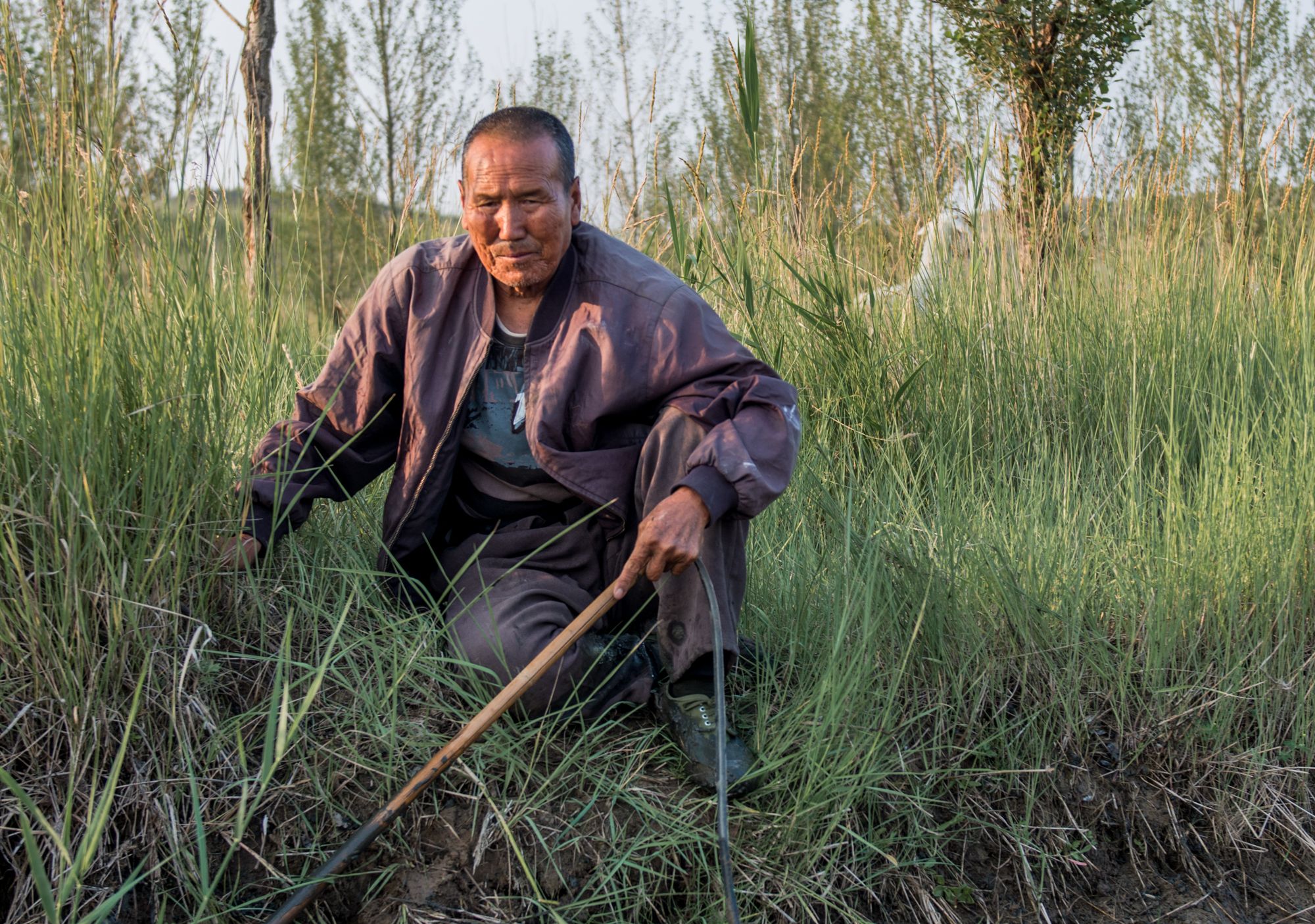 实拍坝上草原牧羊人为了生活每天风吹日晒在美景中忍受孤独