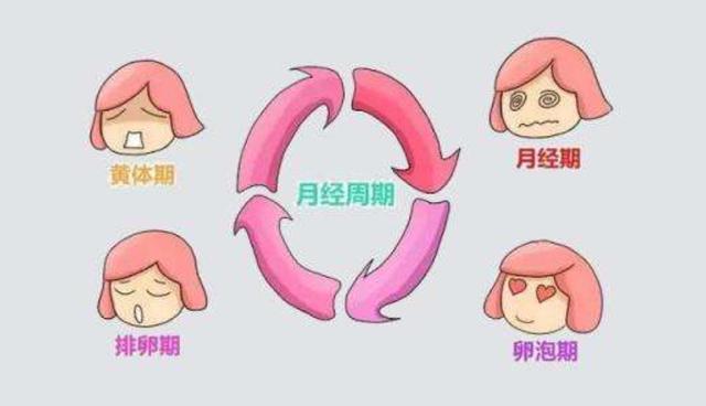 排卵期也不怀孕当心这4个原因偷走了受孕能力