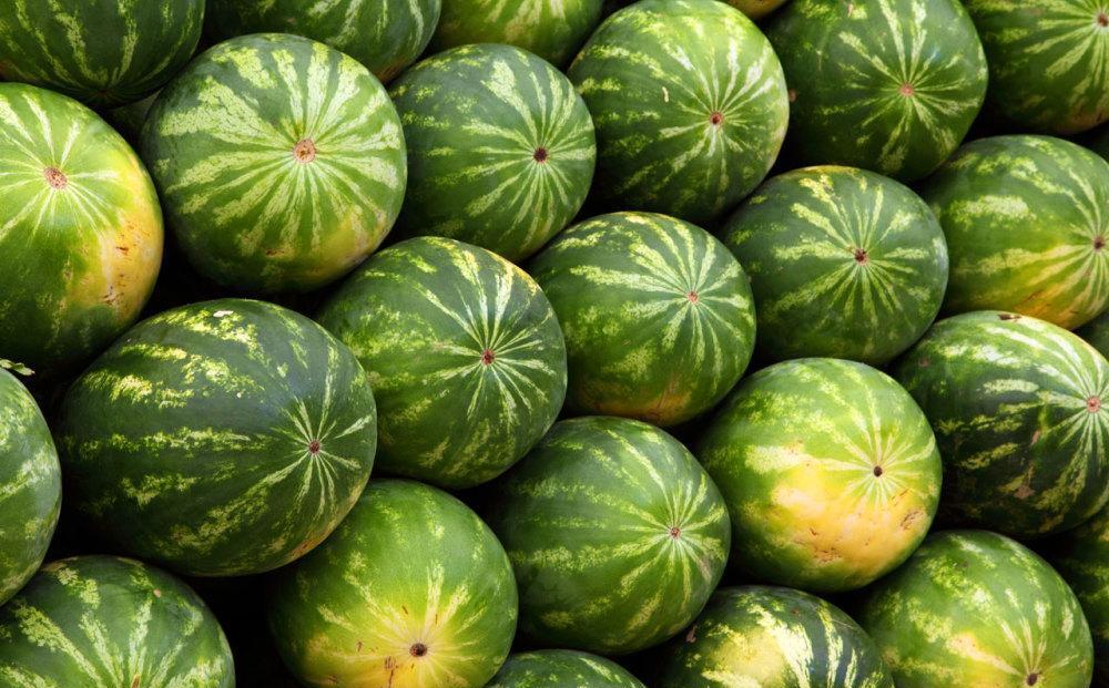 价值千万的绿瓤西瓜你吃过没? 化验后惊呆了, 果然并不简单!