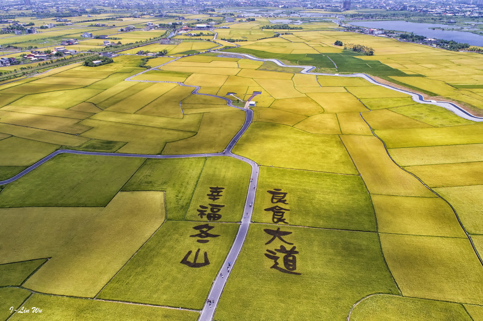 台湾农村堪比大陆4a景区,地广人稀如世外桃源,家家户户做民宿