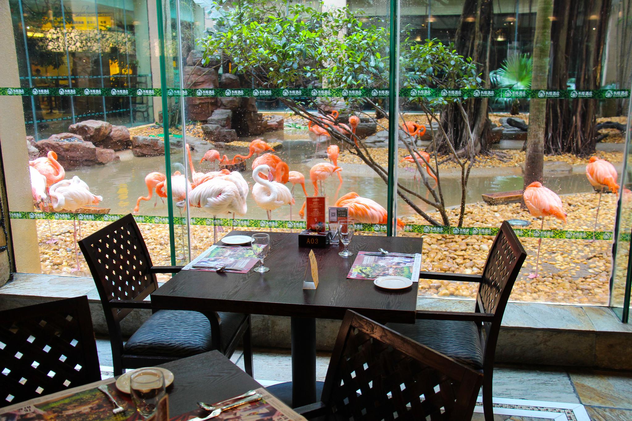 专治"坏孩子"的动物主题餐厅 再顽皮的孩也会爱上吃饭