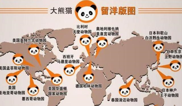 镇国之宝大熊猫在国外的活成这个样子着实令人意外