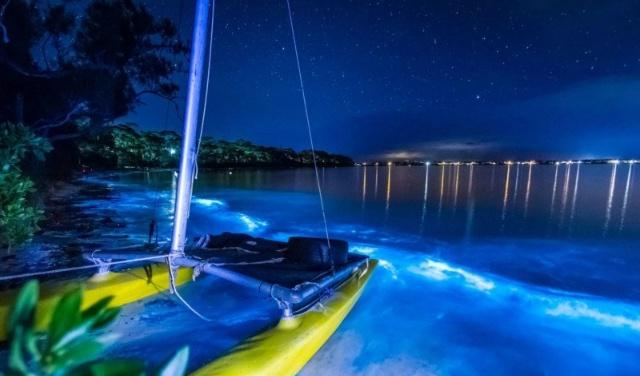 如何拍摄生物发光的海洋这篇文章可能会帮助到你