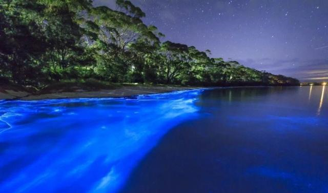 如何拍摄生物发光的海洋这篇文章可能会帮助到你