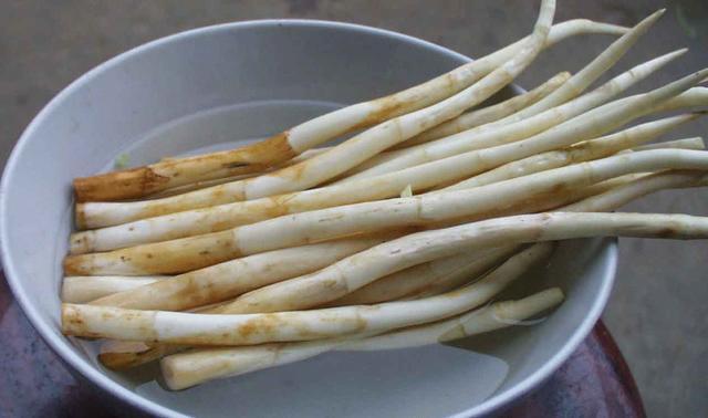 田里这种"香肠",当前价值珍贵,若您老家有,请别轻视|香肠|芽儿|蒲棒
