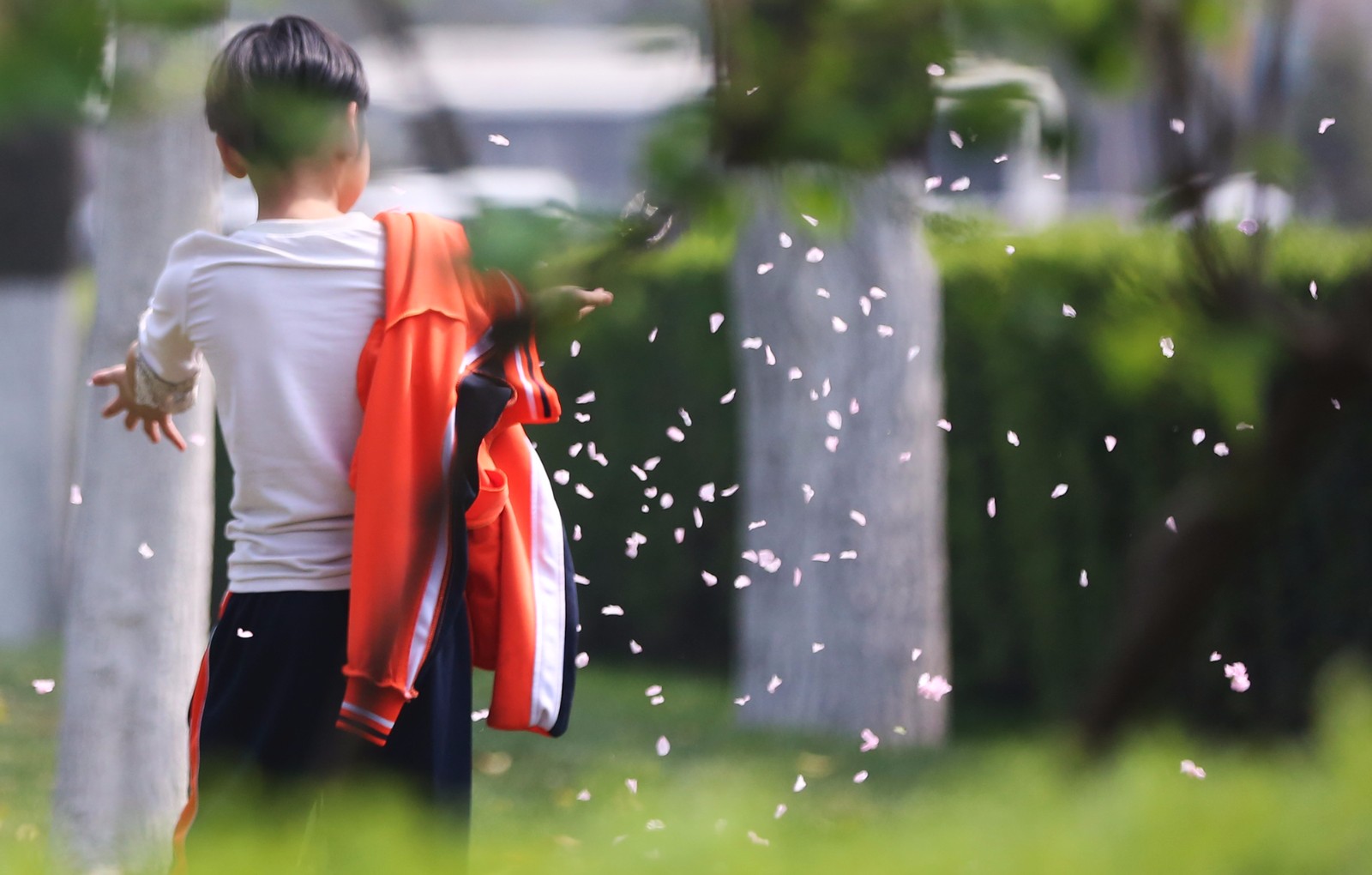 公园里不文明赏花 小学生摘花造花雨