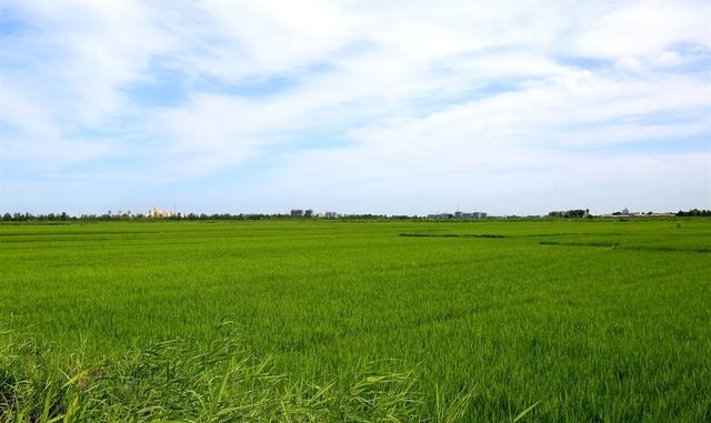 中国的三大平原,你家在哪一个?