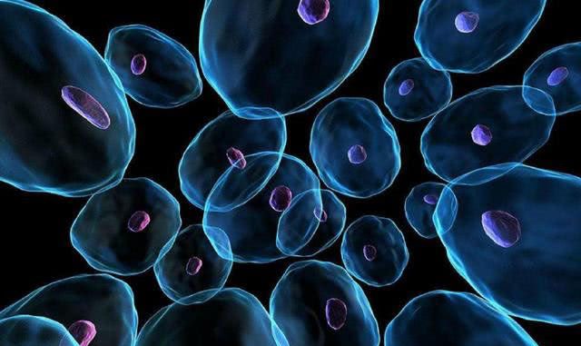 科学家:清除衰老脑细胞即可实现阻止痴呆现象!动物实验已获成功