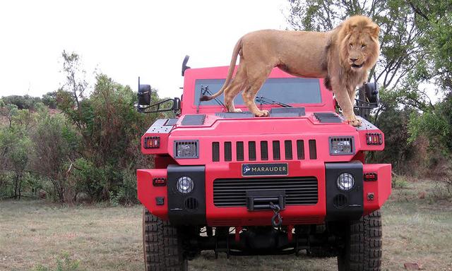 南非掠夺者装甲车犹如凶猛的野兽,所到之处几乎毫无顾忌