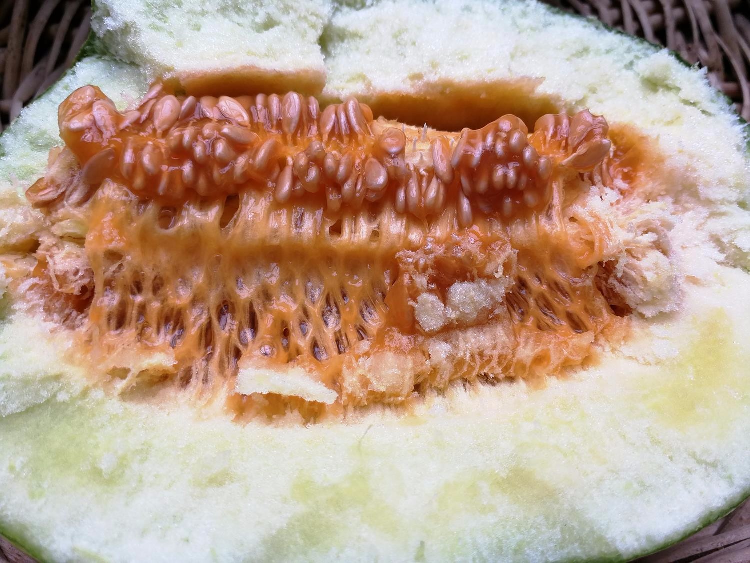 农村大集上又面又憨的稀罕物,老农戏称能噎死驴,很难买到了|老农|面瓜