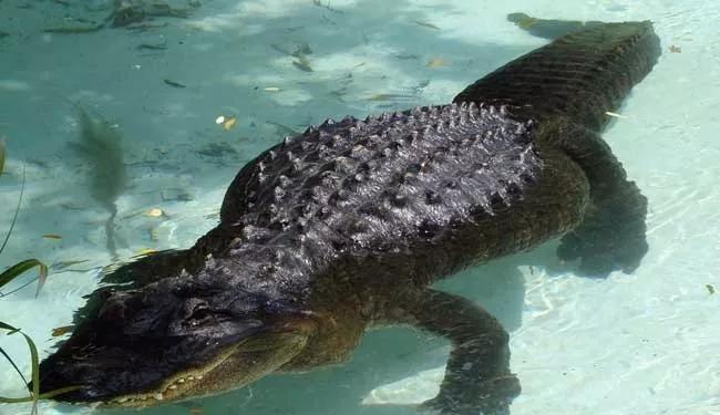 六安哪里有关孩子叛逆学校