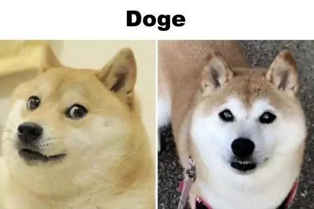 曾经风靡网络表情包的本人,对比一下现在怎么样了|表情包|网络_新浪新