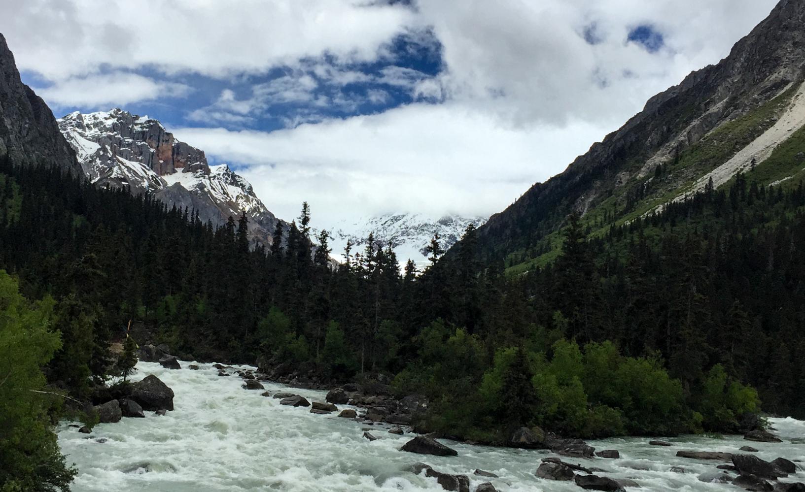 惊世骇俗(惊世骇俗丑不拉几香菇头)