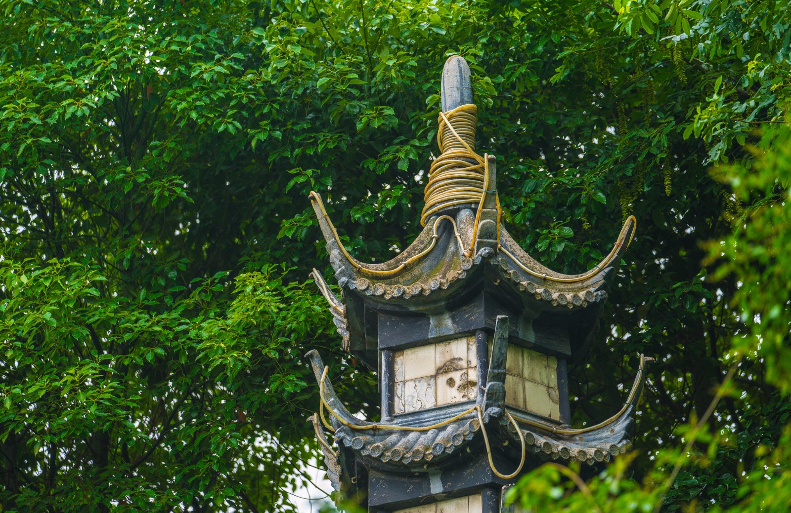 无锡公花园,华夏第一公园_新浪看点