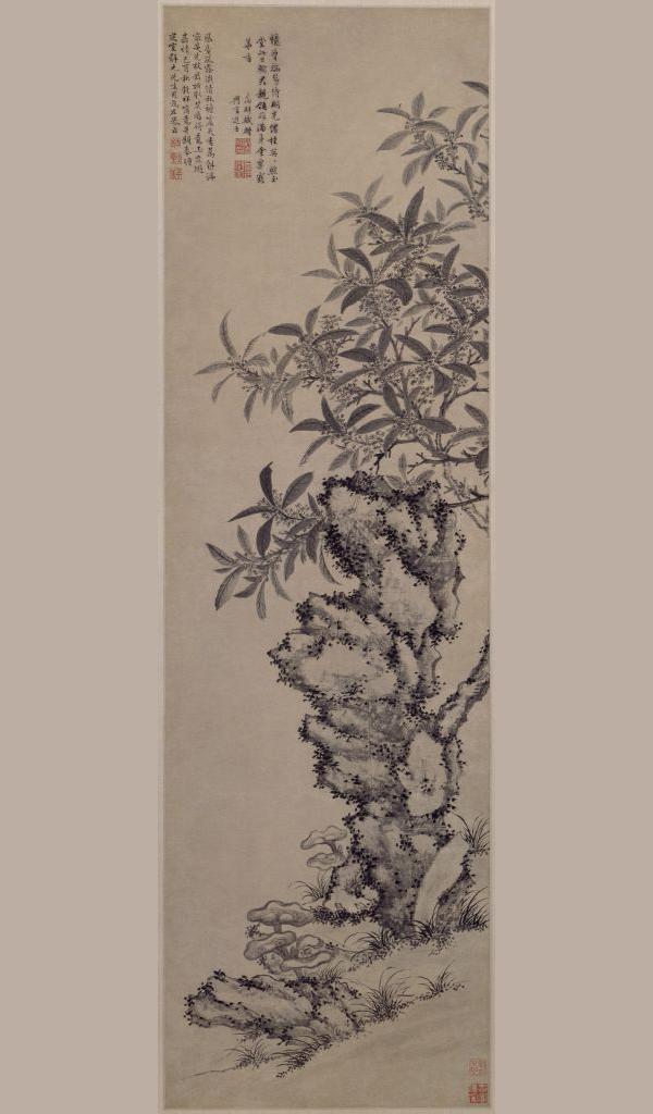 这些古画中的花你都认识吗能全部叫出名字的算你厉害