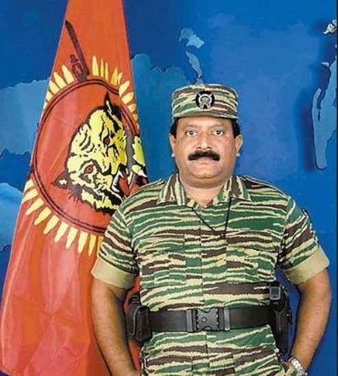 曾经的猛虎组织