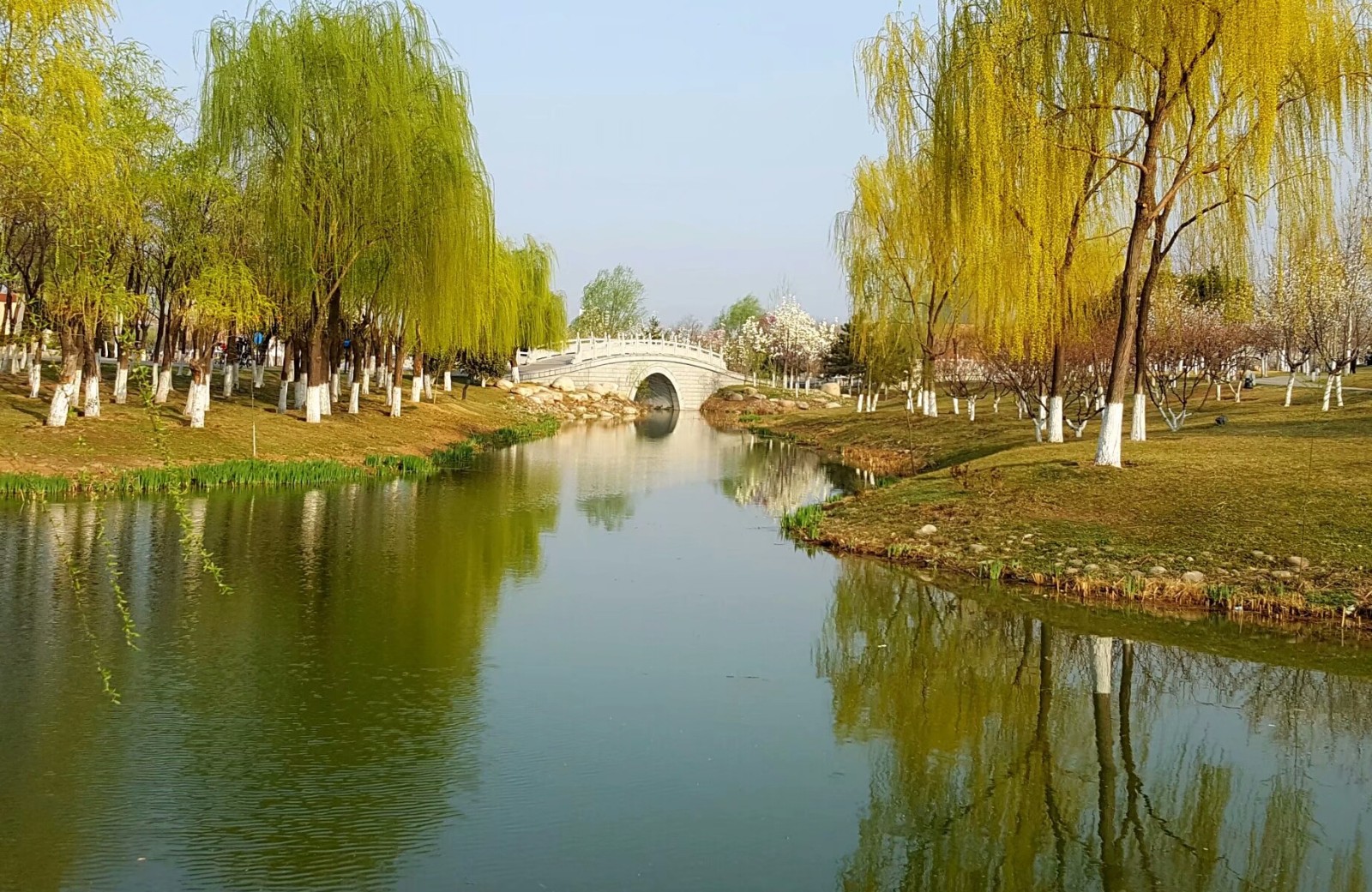 春满中国·醉西安--西安世博园的春天(16图)_新浪看点