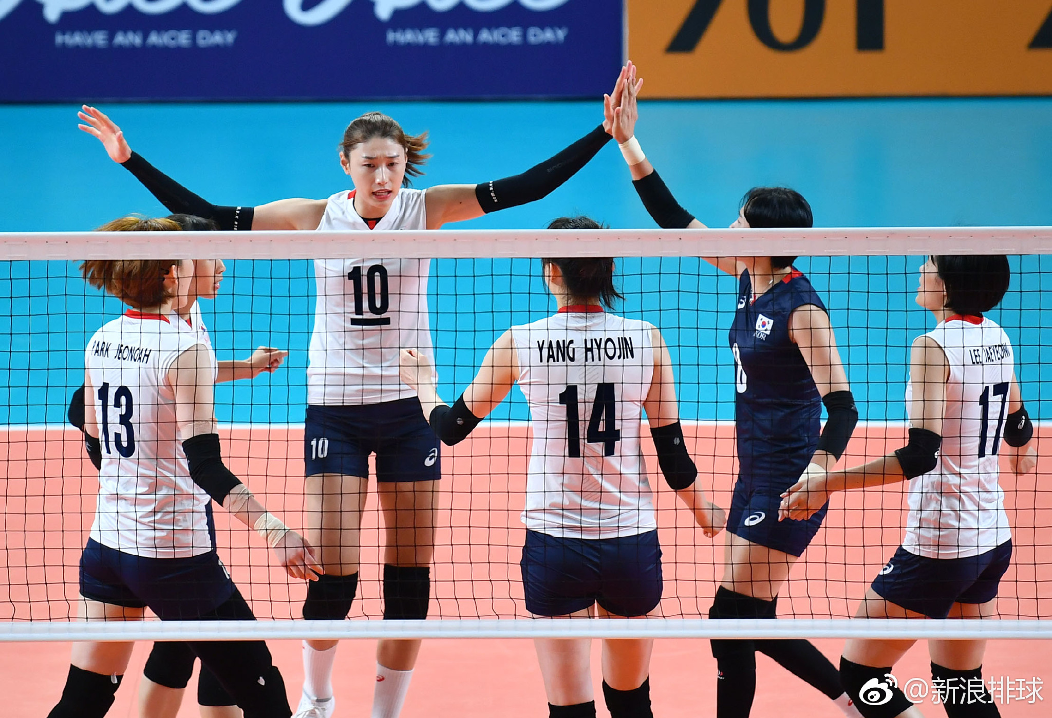 韩国女排首发阵容