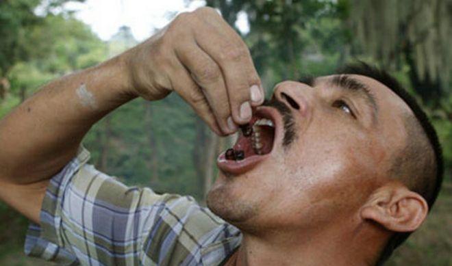 一个吃蚂蚁上瘾的国家, 全国上下老人小孩都喜欢吃