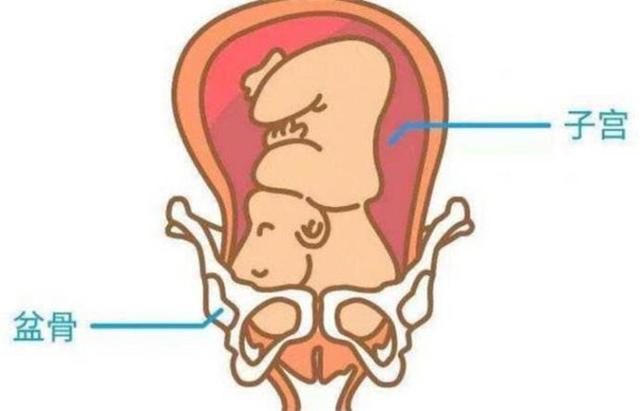 真相来了什么时候宝宝才会入盆啊