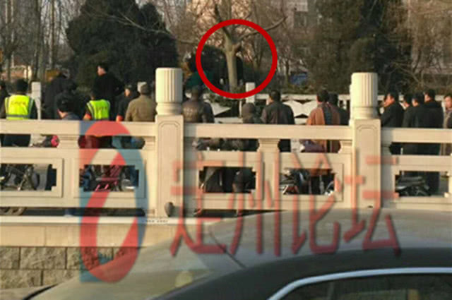 痛心!河北定州一男子在路边绿化带中上吊身亡!