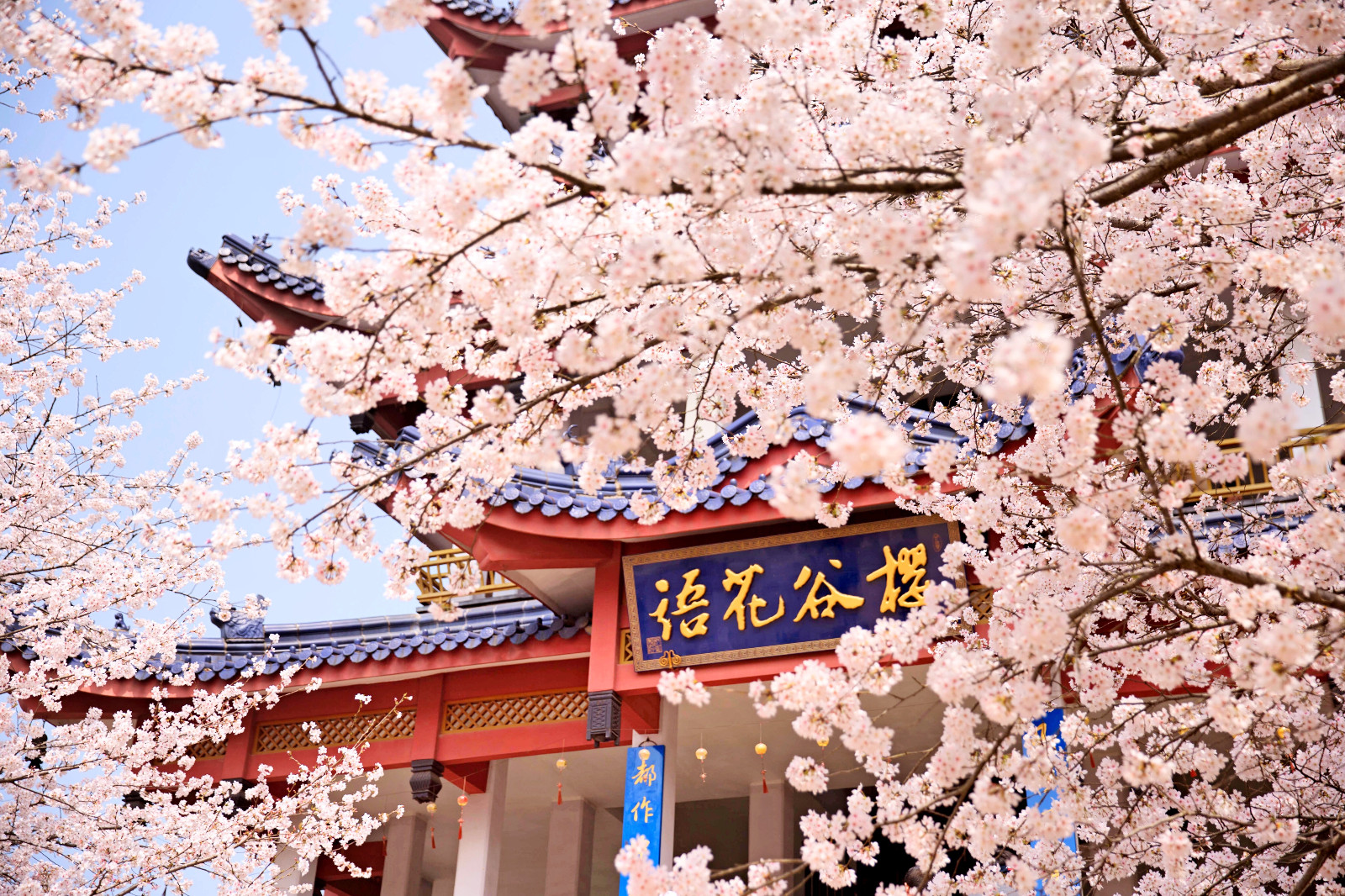 你看呐好浪漫啊