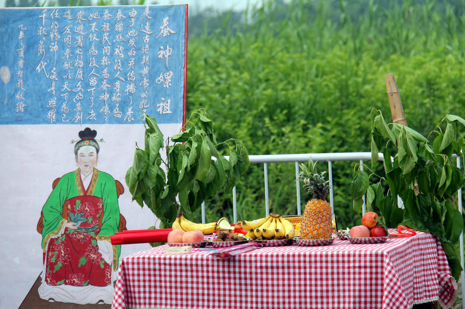 在畲族桑蚕文化旅游节开幕式上,一场传统的畲族祭蚕神仪式在这里举办