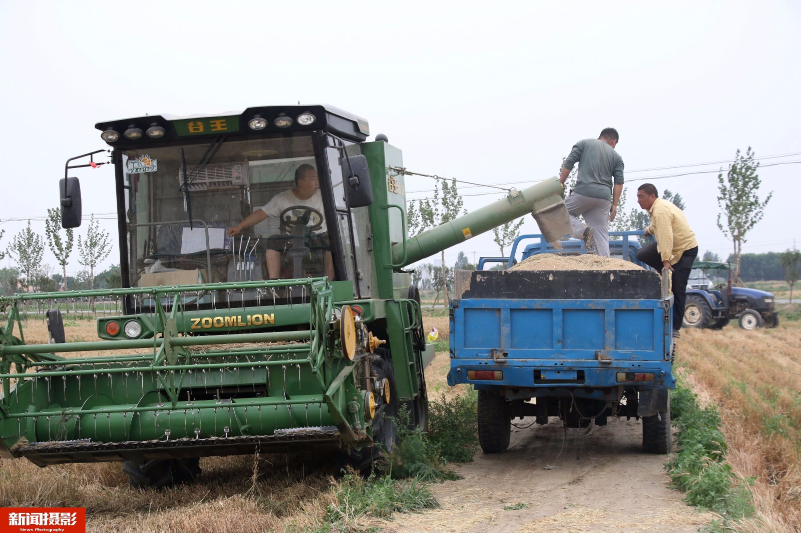 大雨来临前村民集中抢收小麦收割机没有坐地起价被赞