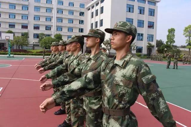 你以为部队只有齐步、正步、跑步三大步伐,那就大错特错了|正步|步伐|鸭子_新浪新闻