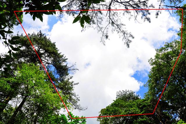 细分不规则框式构图!让与众不同的照片越来越多!