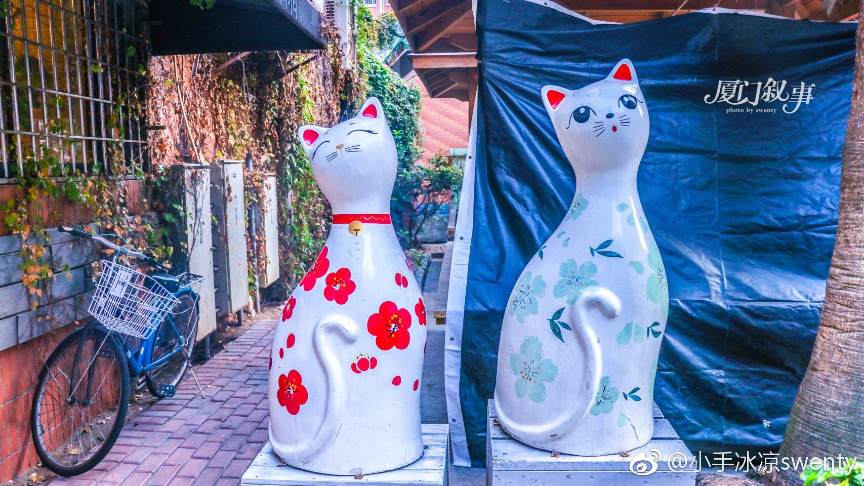 猫街不大,在厦门大学附近,沿着一条石阶下坡便可走到街里