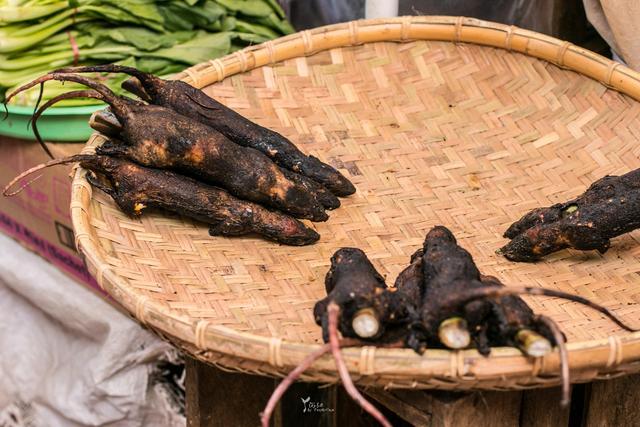 海底潜水颜值世界第一被电影炒红还免签,下一个东南亚网红海岛|网红|