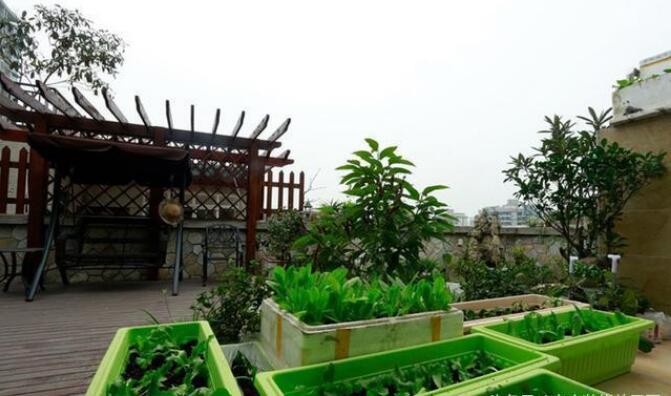 晒晒我家200平复式楼,家具很贵很漂亮,大露台种菜很多人没见过