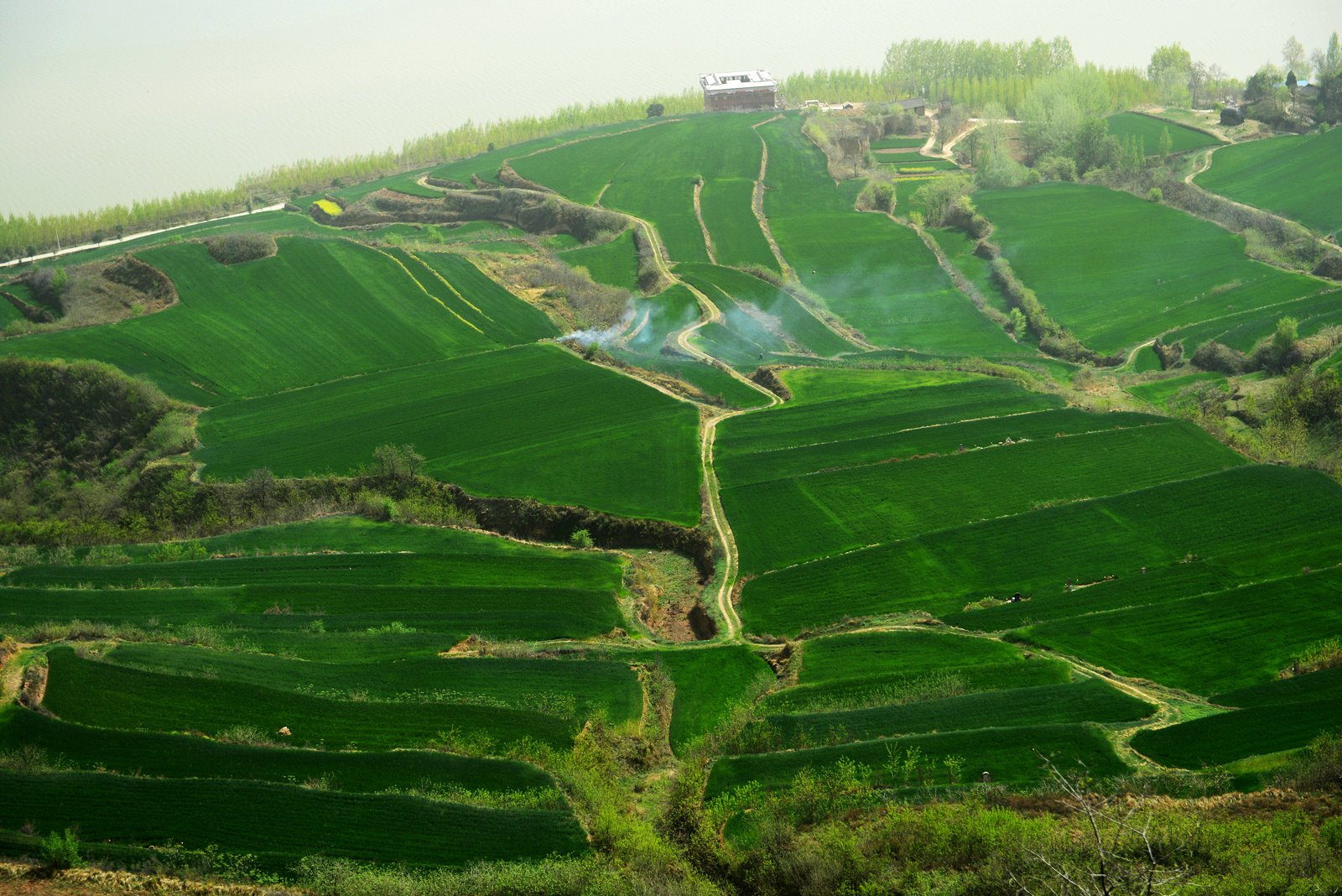 清明去宝鸡蟠龙塬感味家乡淳朴风景与浪漫