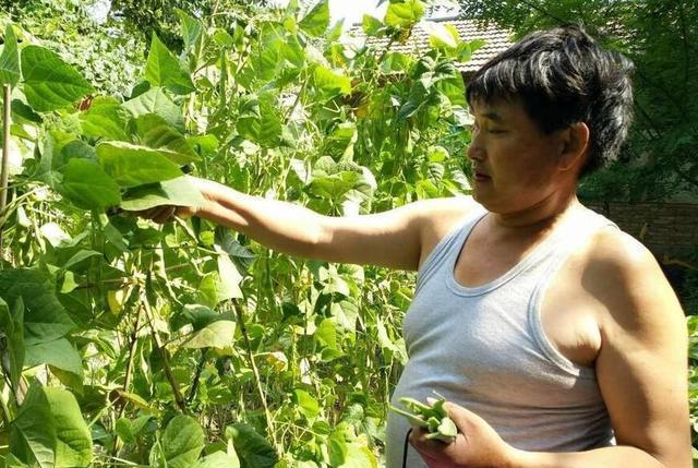 这些"假的草根歌手", 为了爆红不惜卖惨