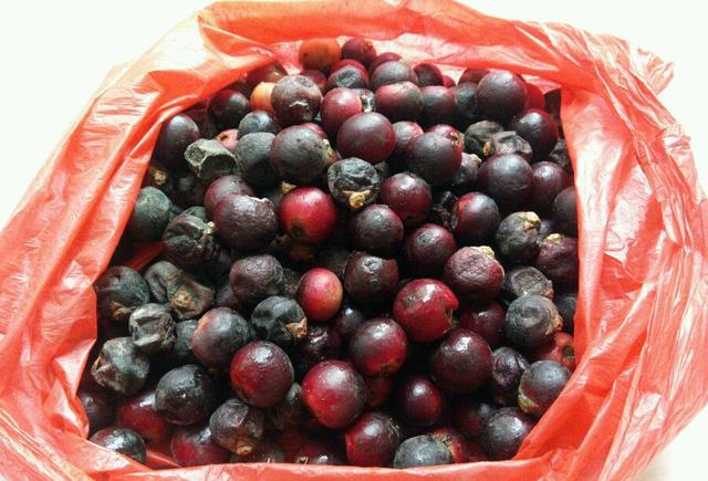 我们从小就十分流行的一句话:你在用痒痒果弄我,我们就绝交!