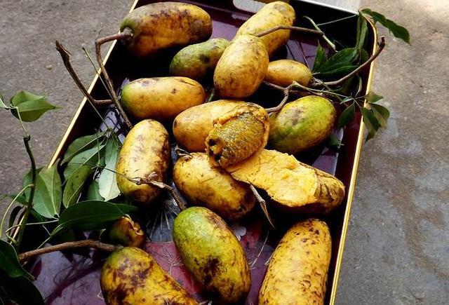 山里好吃又不花钱的8样野果,吃过3种你肯定是农村娃!