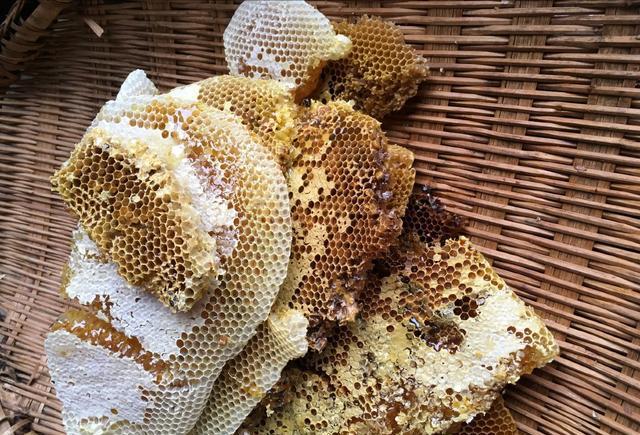 你可见过生长在贵州深山里面的野生蜂蜜原生态的零添加的新鲜蜂蜜