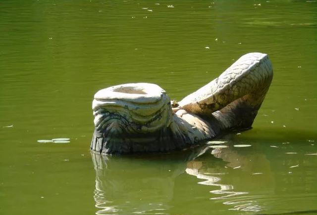 北大校园内无可抗拒的古典美,这些文物古迹增色最多!