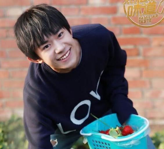 易烊千玺是这么摘草莓的,嘟嘟嘴狂卖萌萌翻千纸鹤