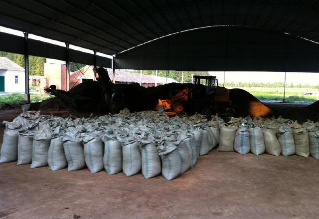 农村用鸡粪施肥到底有什么坏处?今天算是长见识了