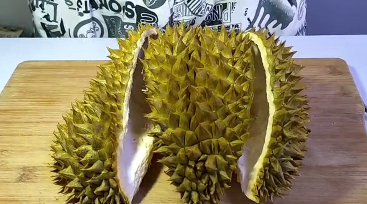 一个榴莲这么贵,榴莲壳不吃多浪费,原来还有这个妙用,厉害了