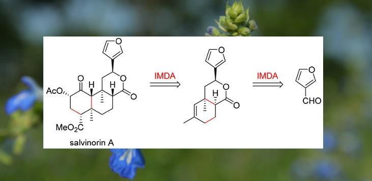 lett.:新克罗烷二萜salvinorin a的全合成