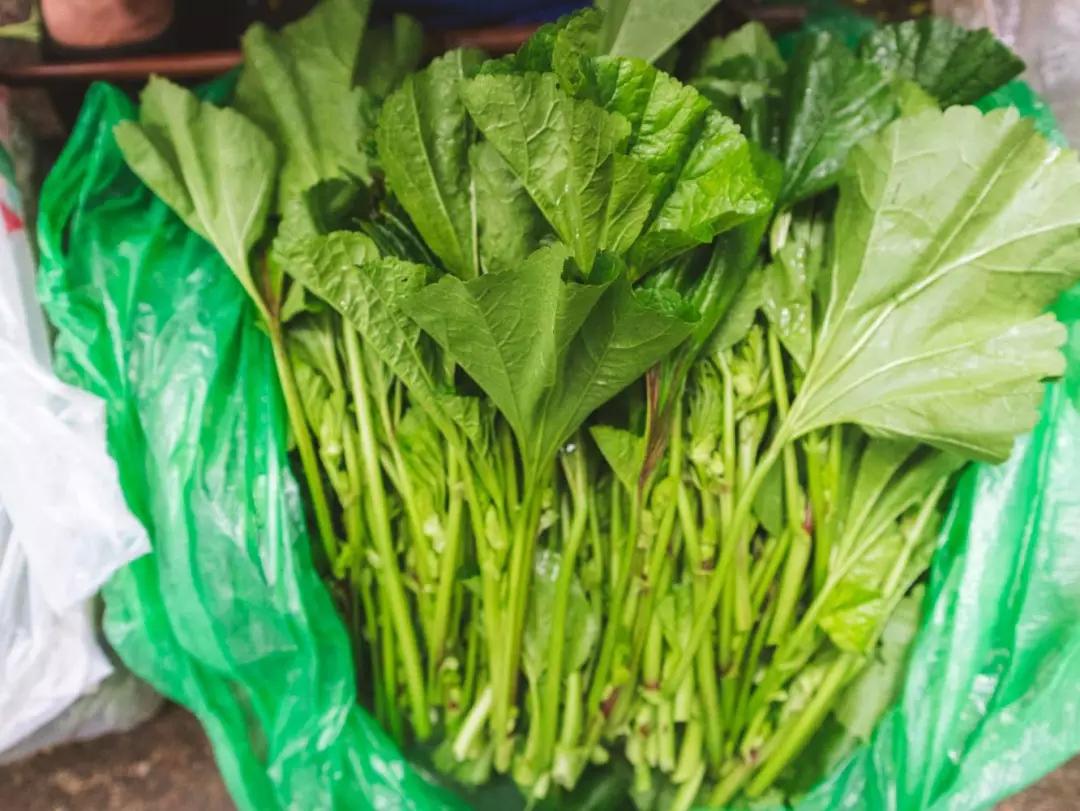 白鹤|草莓|菜市场_新浪新闻