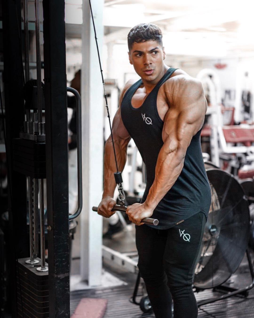 andrei deiu,steven cao,steve cook,sergi constance